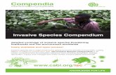 Invasive Species Compendium - CABI.org brochure.pdf · coverage of invasive species from all taxonomic groups and ecosystems (excluding human pathogens), with fast and easy navigation