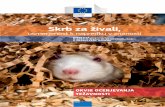 © Novo Nordisk OKVIR OCENJEVANJA TEŽAVNOSTIec.europa.eu/environment/chemicals/lab_animals/pdf/guidance/... · Priprava posebnega ocenjevalnega lista za postopek ... „kletki“