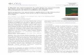 Utilização da espectrometria de raios gama na ... · técnicas de espectrometria de raios gama desenvolvidas na Bacia Lusitânica em unidades ricas em matéria orgânica do intervalo