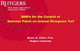 Best Management Practices for the Control of Summer Patch ... · Banner Fungo 50 Tersan 1991 Cleary ... Rubigan 1 inch ... Best Management Practices for the Control of Summer Patch