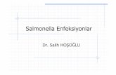 Salmonellozlar.ppt [Uyumluluk Modu] · Gaita kültürü daha düşük duyarlılığa sahiptir Özellikle barsak taşıyıcılığını göstermede kullanılır 2-3. haftadan itibaren