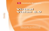Virtual Vision 6 - ev.org.br · a fazer uso da Internet. ... 6.1.4 Dicas de uso do Virtual Vision com o Microsoft Outlook ... opções e ao sair dela, ...