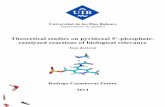Universitat de les Illes Balears - CORE · Que el presente trabajo de investigación, titulado "Theoretical studies on pyridoxal 5'-phosphate-catalyzed reactions of biological relevance",