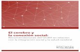 El cerebro y la conexión social · 2018-11-24 · DOI: . ... investigación de la salud cerebral. En cambio, los científicos ... (Las características del vínculo social) Componentes