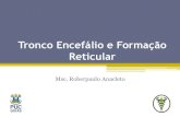 Tronco Encefálio e Formação Reticularprofessor.pucgoias.edu.br/SiteDocente/admin/arquivosUpload/15347... · -Controle da motricidade somática -Controle do SNA -Controle neuroendócrino