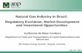 Natural Gas Industry in Brazil: Regulatory Evolution ... Natural Gas Industry - Regulation... · - 30 years (extended up to 30 years) Authorized in the following situation: - pipelines