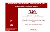 UNIVERSIDADE FEDERAL DE PERNAMBUCO - …sicbolsas.anp.gov.br/sicbolsas/Uploads/TrabalhosFinais/2010.3347-5/... · Laboratório de processos catalíticos no Trabalho de conclusão