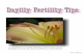 Introduction to Daylily Reproduction · Daylily Fertility Tips Ÿ Terrie Mann Ÿ 2007 AHS National Convention Ÿ Region One Ÿ Minnesota Introduction to Daylily Reproduction It all
