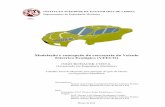 INSTITUTO SUPERIOR DE ENGENHARIA DE LISBOArepositorio.ipl.pt/bitstream/10400.21/2555/1/Dissertação.pdf · the software SolidWorks 2010. Associated with the thematic of aerodynamic