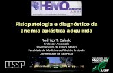 Fisiopatologia e diagnóstico da anemia aplástica adquiridabcf1.cdn.upx.net.br/falenciamedular/pdf/mod2_aula1.pdf · HEMATOPOESE NA ANEMIA APLÁSTICA ADQUIRIDA Estimativa do Número