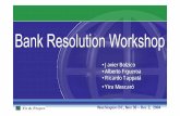 Javier Bolzico • Alberto Figueroa • Ricardo Tappatá • Yira ...siteresources.worldbank.org/FSLP/Resources/workshopsusan.pdf · Bank Resolution Workshop Washington DC, Nov 30