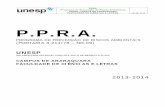 P.P.R.A. - fclar.unesp.br · ao PPRA, de forma a constituir um historio técnico e administrativo do desenvolvimento do PPRA. O PPRA e documentos a ele relacionados devem ser arquivados