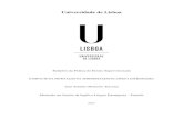 Universidade de Lisboa - repositorio.ul.ptrepositorio.ul.pt/bitstream/10451/33636/1/ulfpie052925_tm.pdf · Começarei por sublinhar as principais linhas orientadoras definidas pelo