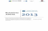 Relatório 2013 - einstein.br Compartilhados/relatorio-anual... · Relatório ANUAL 2013 Relatório de atividades relacionadas ao Projeto NCAP, pertencente ao ... Produção Científica.....