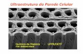 Ultraestrutura da Parede Celular - UFPR · orientação dos elementos estruturais. •Nesta ordem de magnitude os componentes são subdivididos em: •Componente estrutural CELULOSE