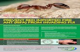 PREVENT RED IMPORTED FIRE ANT (RIFA) FROM …webmediawisp.com/.../uploads/2016/03/Red-Imported-Fire-Ant_Poster.pdf · Help protect and manage Fiji’s unique natural heritage PREVENT