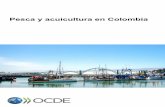 Pesca y acuicultura en Colombia - OECD.org · parte por la piscicultura de agua dulce continental. Los pescadores y agricultores artesanales representan cerca de un tercio de la producción