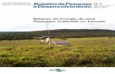 Balanço de Energia de uma Pastagem Cultivada no Cerrado.ainfo.cnptia.embrapa.br/digital/bitstream/CPAC-2009/24971/1/bolpd... · aproximadamente 208 milhões de hectares. Nos ...