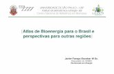 Atlas de Bioenergia para o Brasil e perspectivas para ...143.107.4.241/download/documentos/apresentacoes/... · • O rendimento da cultura é de, aproximadamente, 5 toneladas de