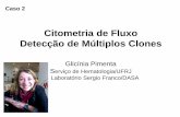 Citometria de Fluxo Detecção de Múltiplos Clones · Kappa sugestivo de doença linfoproliferativa B tipo-LLC-B. •3-A critério clinico sugerimos acompanhamento imunofenotípico