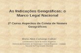 As Indicações Geográficas: o Marco Legal NacionalE7%F5es%20Geogr%E1ficas%20IBGE... · Região Mineira do Cerrado, IG 990001, Indicação de Procedência ... Não viola o Art. 4