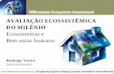 AVALIAÇÃO ECOSSISTÊMICA DO MILÊNIO - pucsp.br · Regulação da qualidade do ar Regulação climática local e regional Controle de erosão Purificação da água Regulação