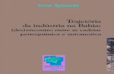 (des)encontro entre as cadeias petroquímica e … tecnológicas das indústrias automotiva, petroquímica e local de transformação de plástico da Bahia, em uma análise multies-calar