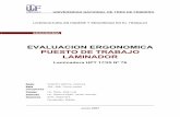 EVALUACION ERGONOMICA PUESTO DE TRABAJO y confort/Evaluacion y...  ERGONOMIA EVALUACION ERGONOMICA
