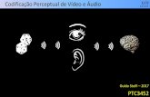 Codificação Perceptual de Vídeo e Áudio - lcs.poli.usp.brpjj/Codif_Perceptual.pdf · •Há necessidade de codificação perceptual e processos de compressão “com perdas”,