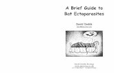 A Brief Guide to Bat Ectoparasites - plecotus.natagora.beplecotus.natagora.be/fileadmin/Plecotus/Documentation/workshop_a... · (Picture: Antonio Serra) Long -legged Bat Tick (Ixodes