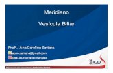 Meridiano Ves­cula Biliar - Biliar - Carol.pdf  penetra no F­gado e na Ves­cula Biliar, percorre