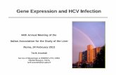 Gene Expression and HCV Infection - .Gene Expression and HCV Infection. Progress in HCV Treatment