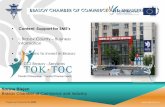 Sorina Blejan Brasov Chamber of Commerce and Industrytok-toc.eu/.../2013/...BRASOV_INFODAY1_BRASOV_PPT-PRESENTATION2_RO.pdf · Kogalniceanu nr. 20 E-mail: ccibv@ccibv.ro . Title: