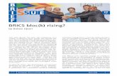 BRICS bloc(k) rising? - EUISS Homepage · the BRICS adopted a five-year agenda to address demographic issues, including women’s rights, aging populations and migration. In addition