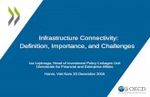 Infrastructure Connectivity: Definition, Importance, and ... · Infrastructure Connectivity: Definition, Importance, and Challenges ... complimentary effects and importance of multi-modality.