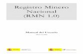 Registro Minero Nacional (RMN 1.0) - info.igme.esinfo.igme.es/SidPDF/123000/493/123493_0000002.pdf · pueden citar: Cristral Report 8.0, ArcGis 8.1 y True DBGrid 7.0 Para su funcionamiento