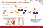Como funcionam as hormonas?files.comunidades.net/albertocaeiro/Unidade_4parte_3.pdf · apenas os tecidos programados para ... Quais são os comportamentos ... Reacção do organismo