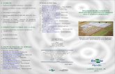 Programa do melhoramento genético do algodoeiroainfo.cnptia.embrapa.br/digital/bitstream/item/25695/1/Programado... · PROGRAMA DE MELHORAMENTO GENÉTICO DO ALGODOEIRO DA EMBRAPA