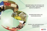 SECRETARIA DE ESTADO DE AGRICULTURA, PECUÁRIA E ...agricultura.mg.gov.br/images/files/perfil/perfil_brasil1.pdf · Ocupação do Território Brasileiro 07. Estrutura Fundiária Brasileira