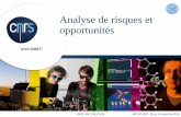 Analyse de risques et opportunités - qualite-en-recherche ...qualite-en-recherche.cnrs.fr/IMG/pdf/Analyse_de_risques_arcachon... · cube COSO : Le référentiel COSO1, rédigé sur