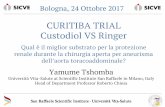 CURITIBA TRIAL Custodiol VS Ringer - Società Italiana di ... · CURITIBA TRIAL Custodiol VS Ringer Qual è il miglior substrato per la protezione renale durante la chirurgia aperta