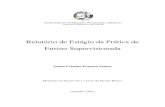 Relatório de Estágio da Prática de Ensino Supervisionadabdigital.ipg.pt/dspace/bitstream/10314/1312/3/EPE - Joana Cristina... · O presente relatório foi elaborado no âmbito
