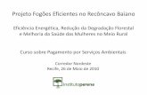 Projeto Fogões Eficientes no Recôncavo Baiano [Modo de ...elti.fesprojects.net/2010PESRecife/efficient_stoves_project... · Recife, 26 de Maio de 2010. Roteiro da Apresentação