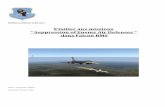 S’initier aux missions Suppression of Enemy Air Defenses ...ffw01.fr/documents/interne/air_sol/S_initier_aux_missions_SEAD.pdf · TacDoc 2 Falcon 4.32 up 7 S’initier aux missions