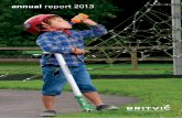 annual report 2013 - britvic.com/media/Files/B/Britvic-V3/documents/pdf/... · overview overview Britvic plc Annual Report 2013 1 performance at a glance* continued business review