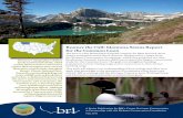 MT Restore the Call: Montana Status Report for the Common … MT Status... · Restore the Call: Montana Status Report for the Common Loon The loon is a key biosentinel of aquatic