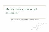 Metabolismo básico del colesterol - Blog 4to Semestre 2 ... · PDF fileLa emulsión (formación de micelas) proceso necesario para llevar al colesterol a un estado físico susceptible