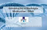 Introdução a Biologia Molecular: DNA · ABR/2011 Introdução a Biologia Molecular: DNA Nutrição Prof. João Ronaldo Tavares de Vasconcellos Neto