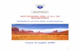 NOTIZIARIO DEL C.A.I. DI MANERBIO - caivimodrone.it manerbio... · in una salita alpi-mistica. Monument Valley – Arizona (U.S.A.) – 1982 . 7 LE ESCURSIONI DEL MESE DI LUGLIO 2009