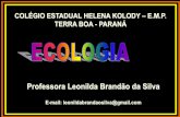 Professora Leonilda Brandão da Silva · que vão além do organismo: POPULAÇÕES, COMUNIDADES e ECOSSISTEMAS. ... Diferencie habitat de nicho ecológico. Exemplifique.(4) ... Qualquer